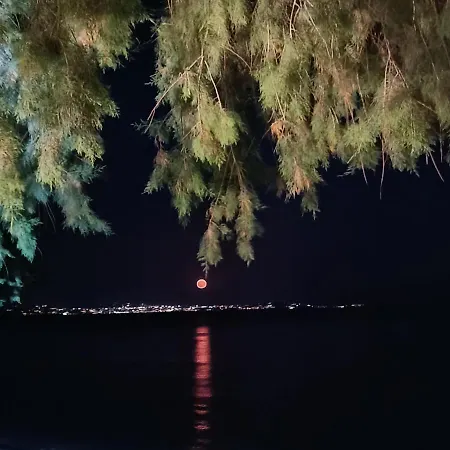 Appartement Mare Nostrum